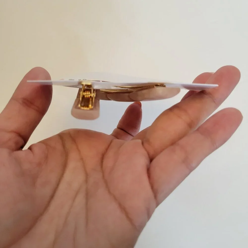 NWT Sonoma Hair Clips